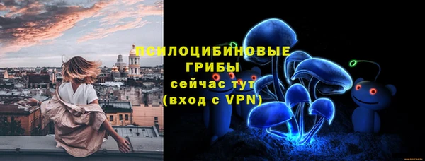 дмт Аркадак