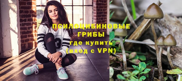 МДПВ Арсеньев
