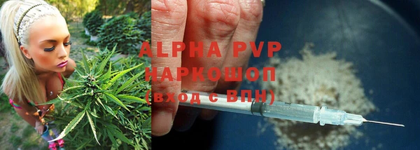 дмт Аркадак